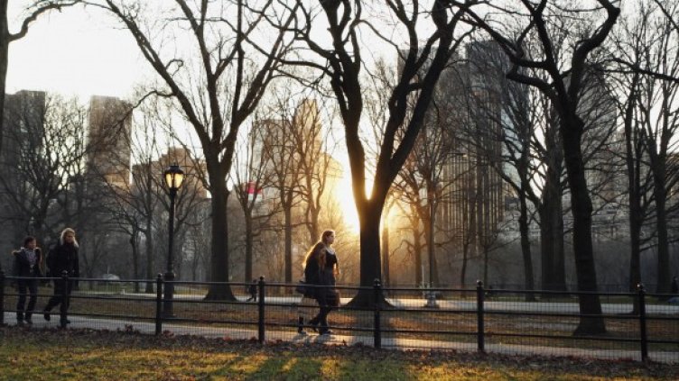 Сентръл парк, Ню Йорк. Снимка: архив, Reuters