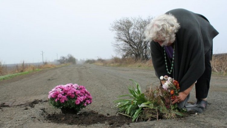 Снимка: Булфото