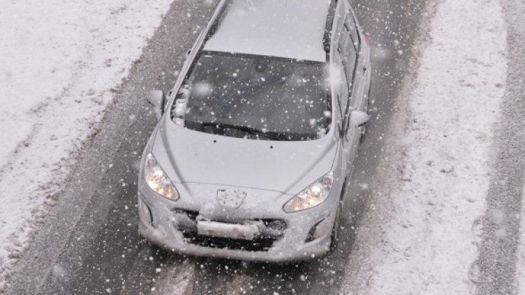 Снимка: Булфото