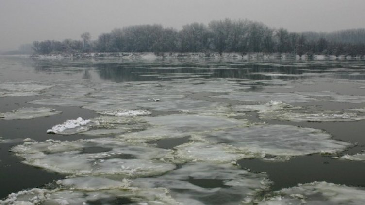 Снимка: Булфото