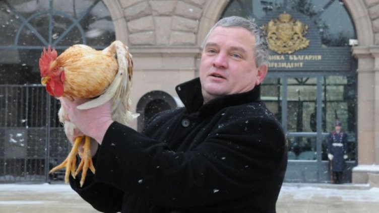 Снимка: Булфото