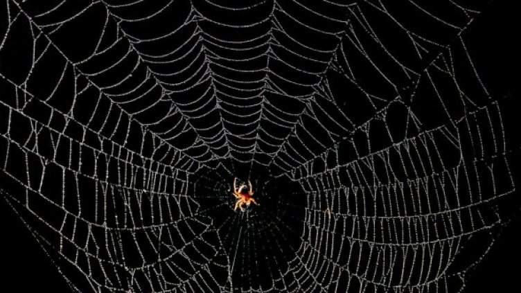 Снимка: архив, Reuters