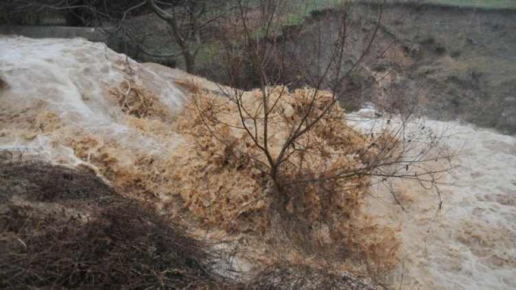 Снимка: Архив Булфото