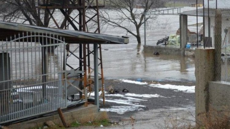 Снимка: Булфото