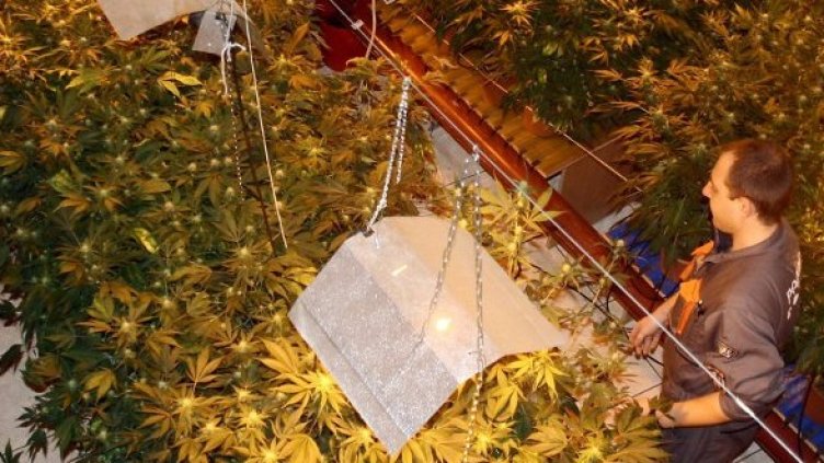 Снимка: архив Булфото