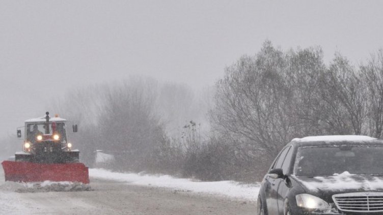 Снимка: архив, Булфото