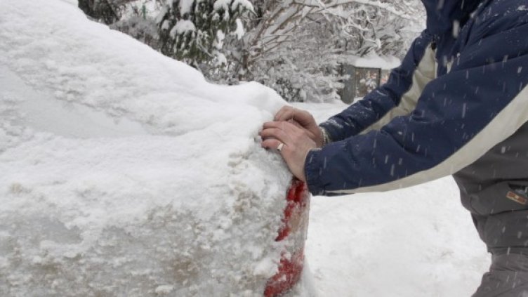 Снимка: Булфото