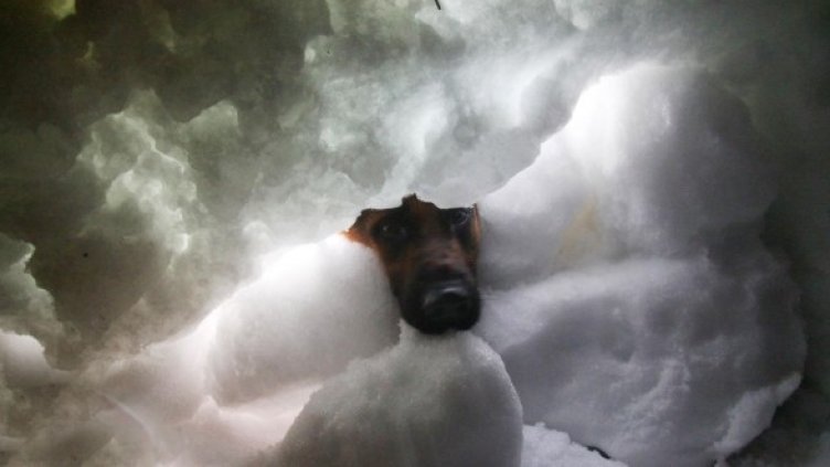 Снимка: Булфото