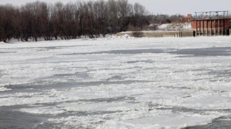 Снимка: Булфото