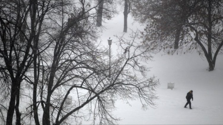 Паркът в крепостта Калемегдан в Белград. Снимка: Reuters