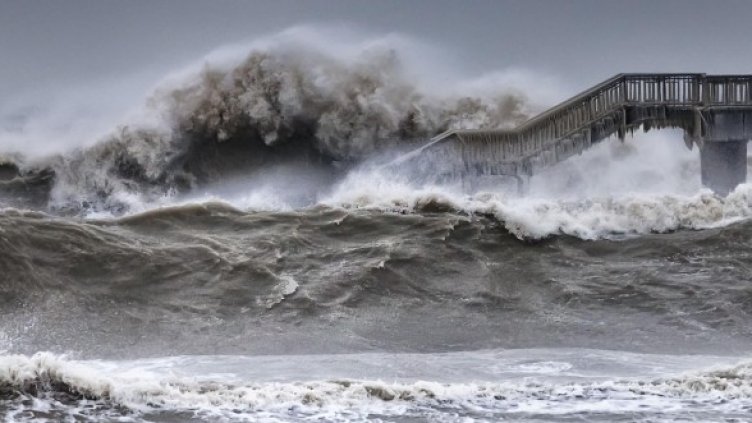 Снимка: Булфото