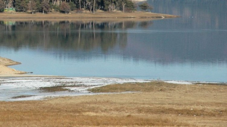 Снимка: Архив Булфото