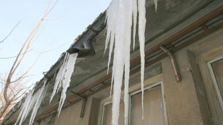 Снимка: Булфото