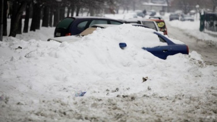 Снимка: Булфото