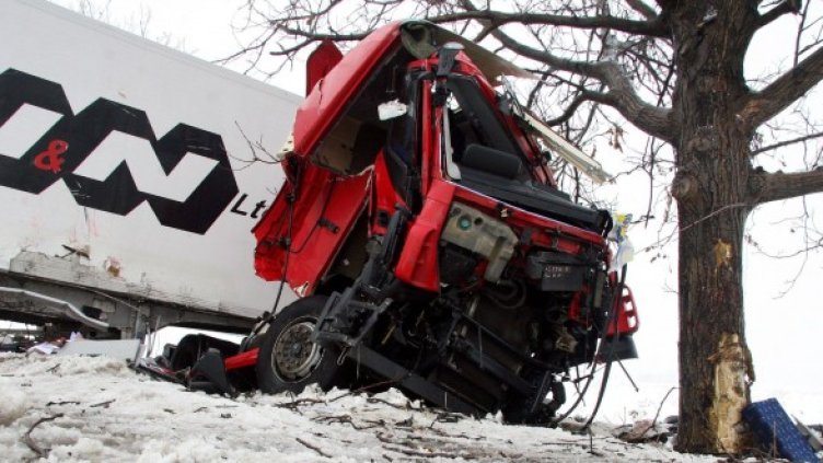 Снимка: Булфото