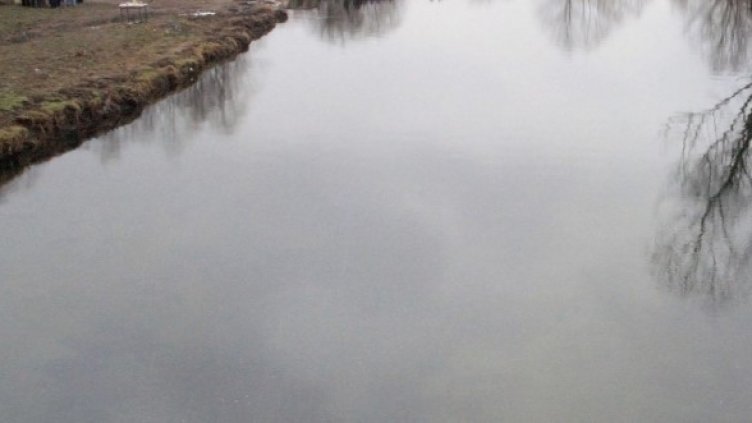 Снимка: Архив Булфото