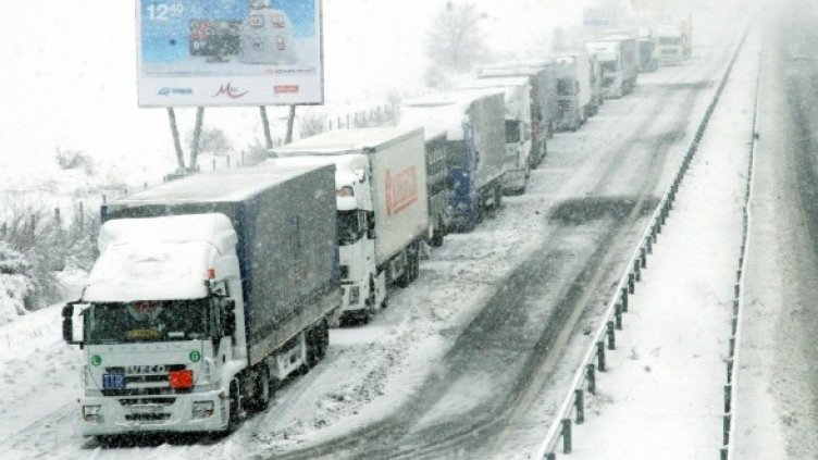 Снимка: Булфото