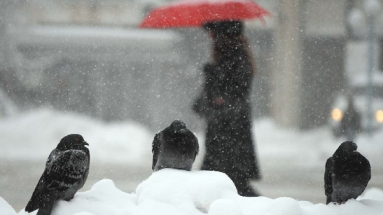 Снимка: архив, БТА