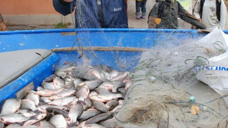 Снимка: Булфото