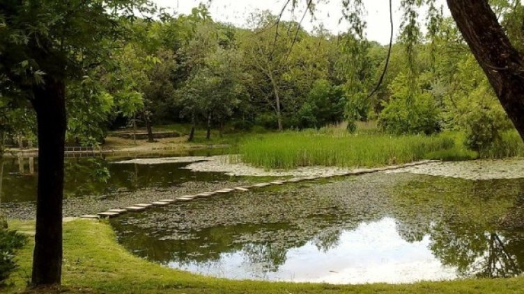 Езерото в Лесопарк "Липник". Снимка: Wikipedia