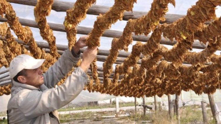 Снимка: архив Булфото