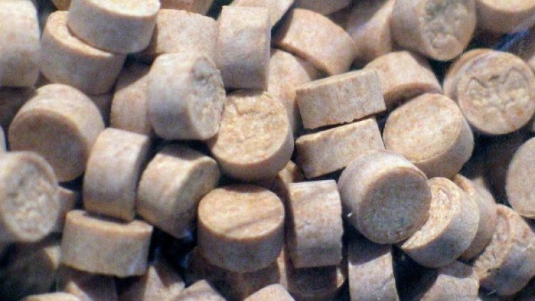 Снимка: архив Булфото