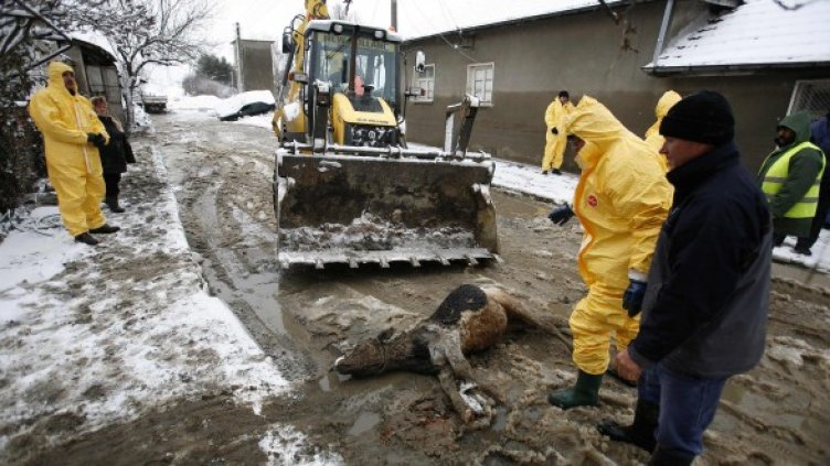 Продължава възстановяването на село Бисер. Снимка: Reuters