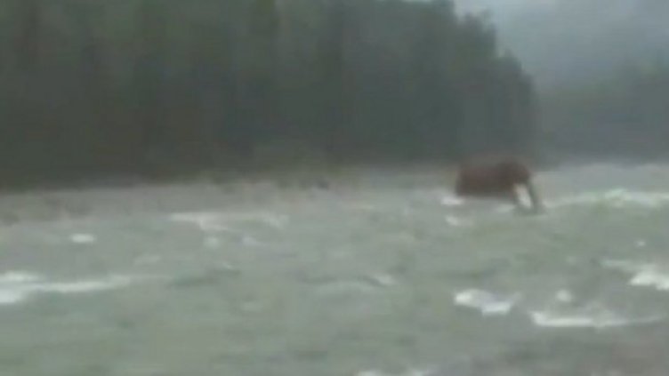 Снимка: YouTube