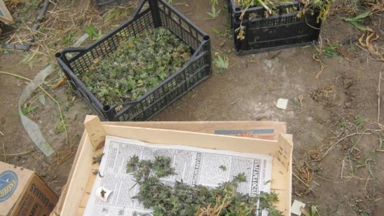 Снимка: архив Булфото