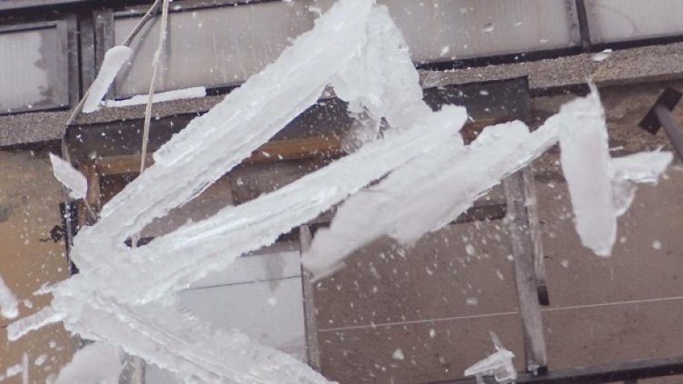 Снимка: Булфото