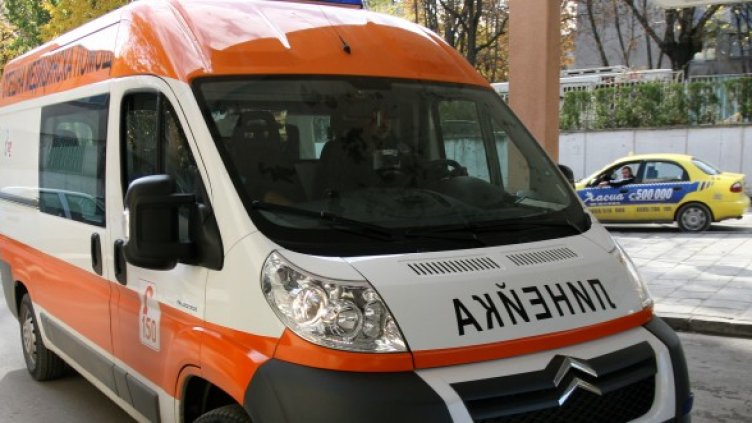 Снимка: Impact Press Group