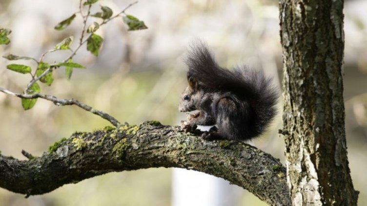 Снимка: архив, Reuters