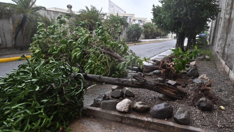 Снимка БГНЕС