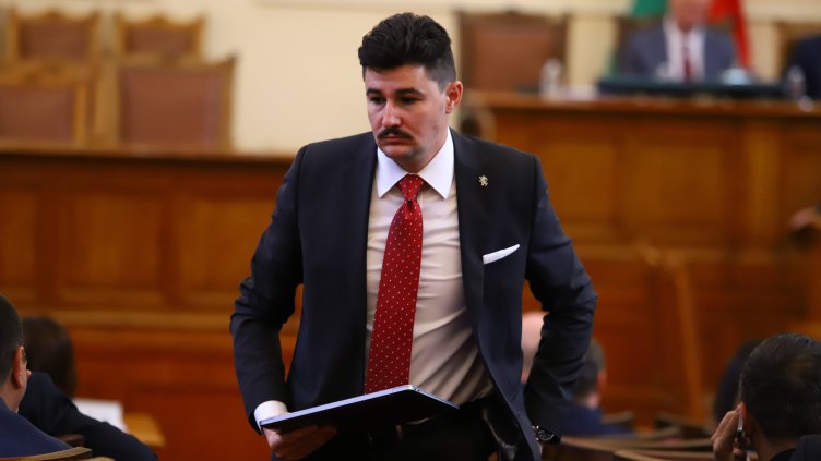 Снимка: архив, БГНЕС