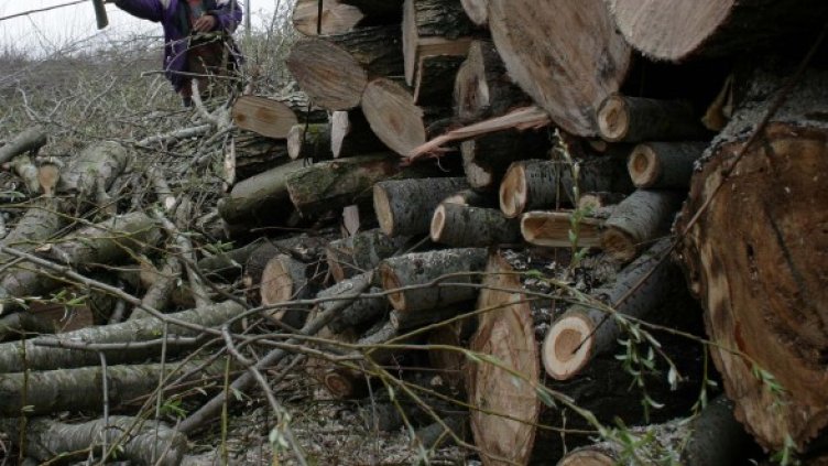 Снимка: архив, Impact Press Group