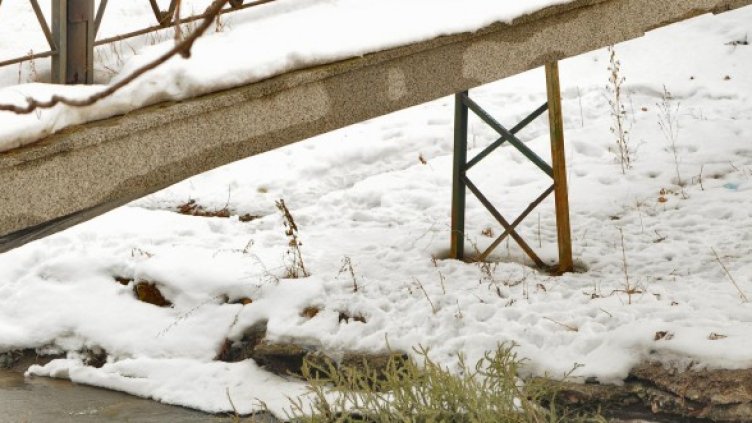 Мястото, където е открито тялото. Снимка: Булфото