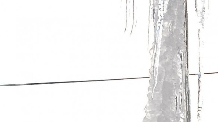 Снимка: архив, Булфото