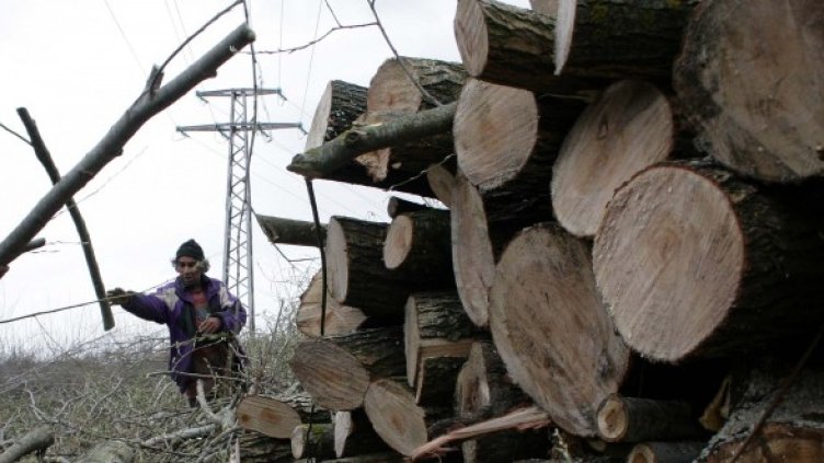 Министърът на земеделието не спира да лъже, изтъкнаха от БСП. Снимка: Impact Press Group