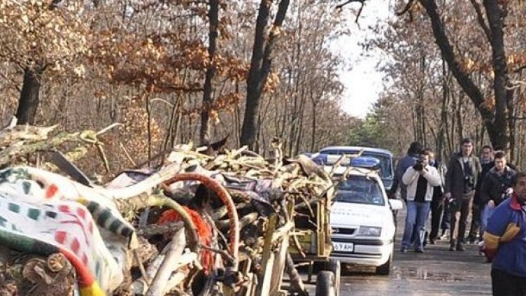 Снимка: Архив Булфото