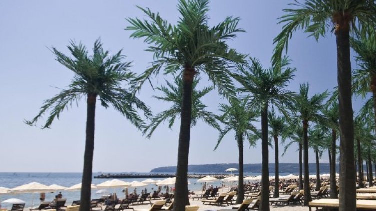 След изкуствените палми във Варна ще си имаме и изкуствени плажове. Снимка: Булфото
