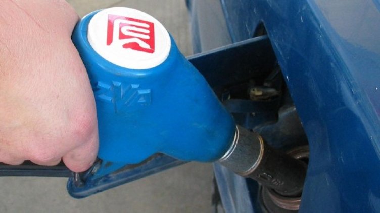 Снимка: архив Булфото