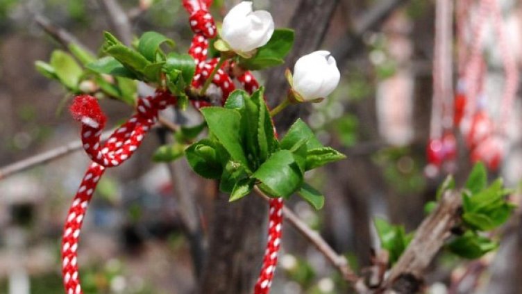 Снимка: архив, Булфото