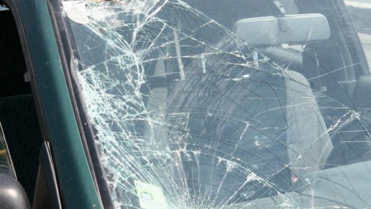 Снимка: Impact Press Group