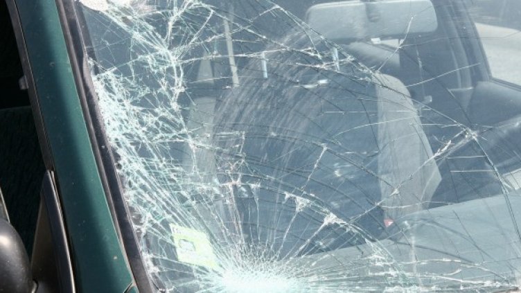 Снимка: Impact Press Group