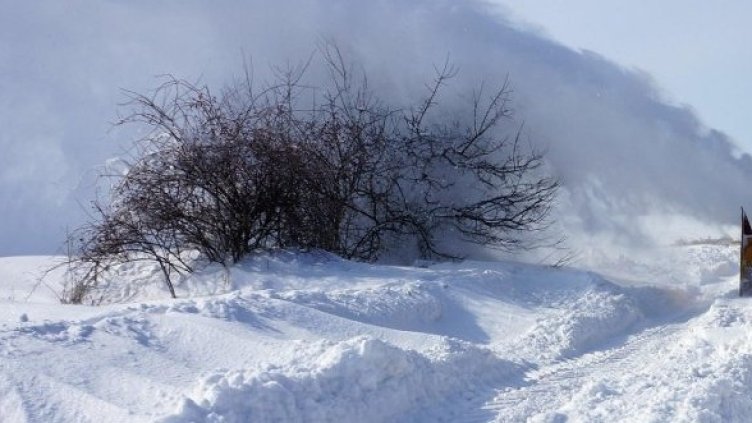 Снимка: Булфото