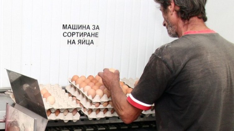 Задържат цените на яйцата, защото производителите не ги намаляват. Снимка: Impact Press Grouр