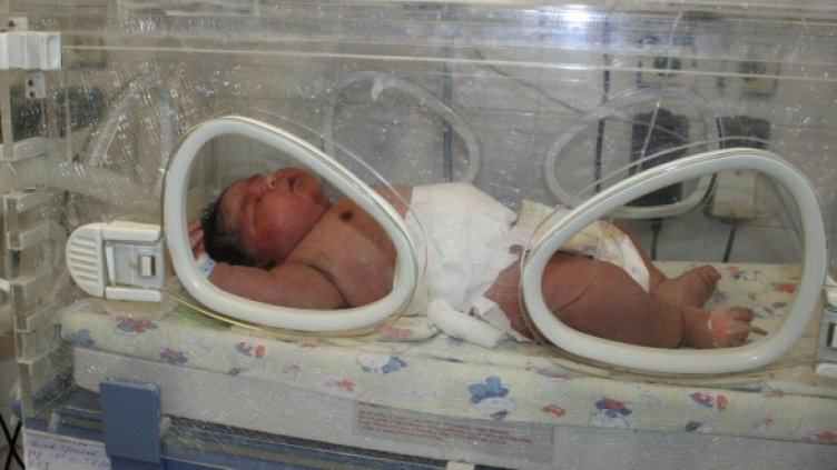 Снимка: архив, Булфото