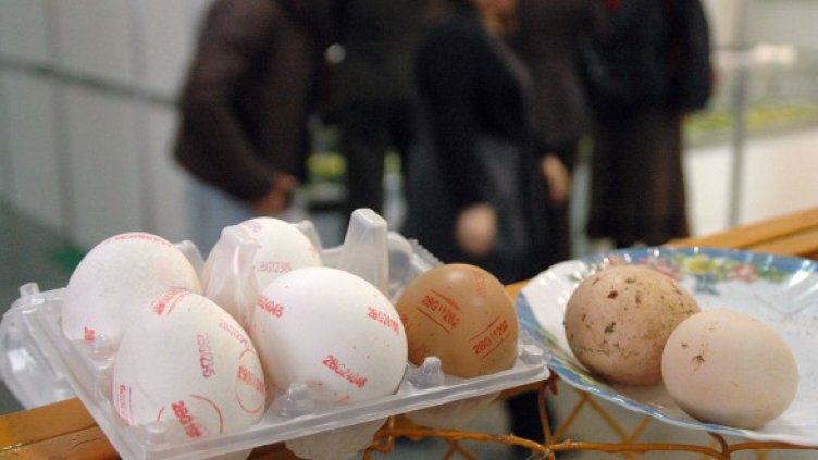 През последните дни яйцата удариха 40 ст. бройката. Снимка: БТА