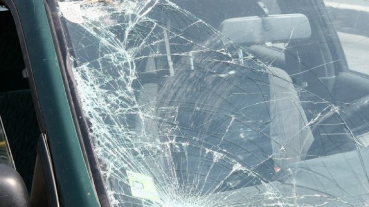 Снимка: Impact Press Group