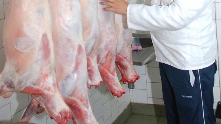 По празниците агнешкото поскъпва. Снимка: архив, Булфото